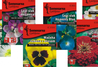 Семена за цветя