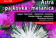 Семена - Астра