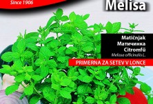 Семена - Маточина