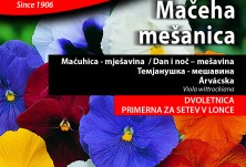 Семена - Теменужки - Виоли - микс