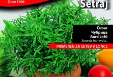 Семена - Чубрица